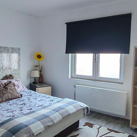 Divlji Raj Apartman Belgrád Kültér fotó