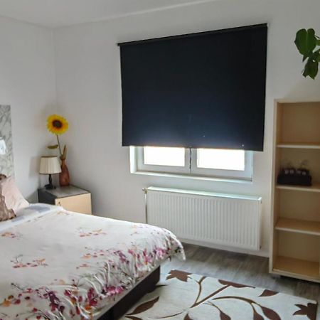 Divlji Raj Apartman Belgrád Kültér fotó