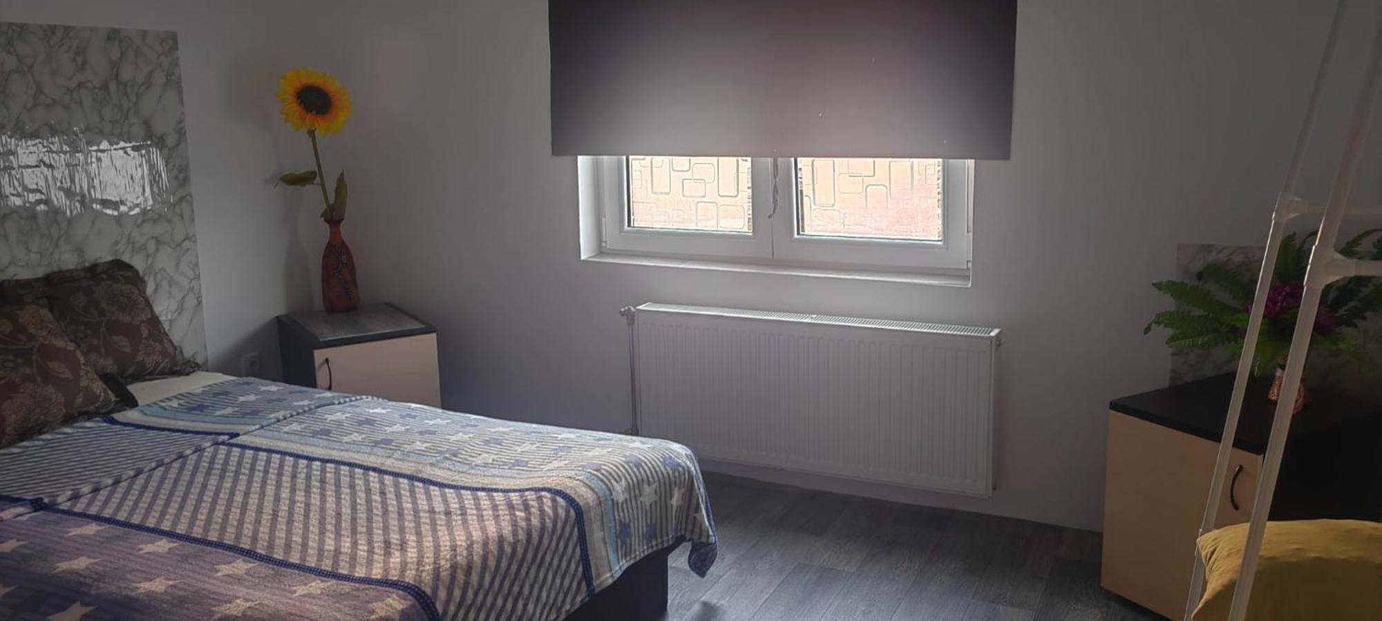 Divlji Raj Apartman Belgrád Kültér fotó