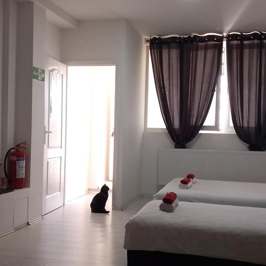Divlji Raj Apartman Belgrád Kültér fotó