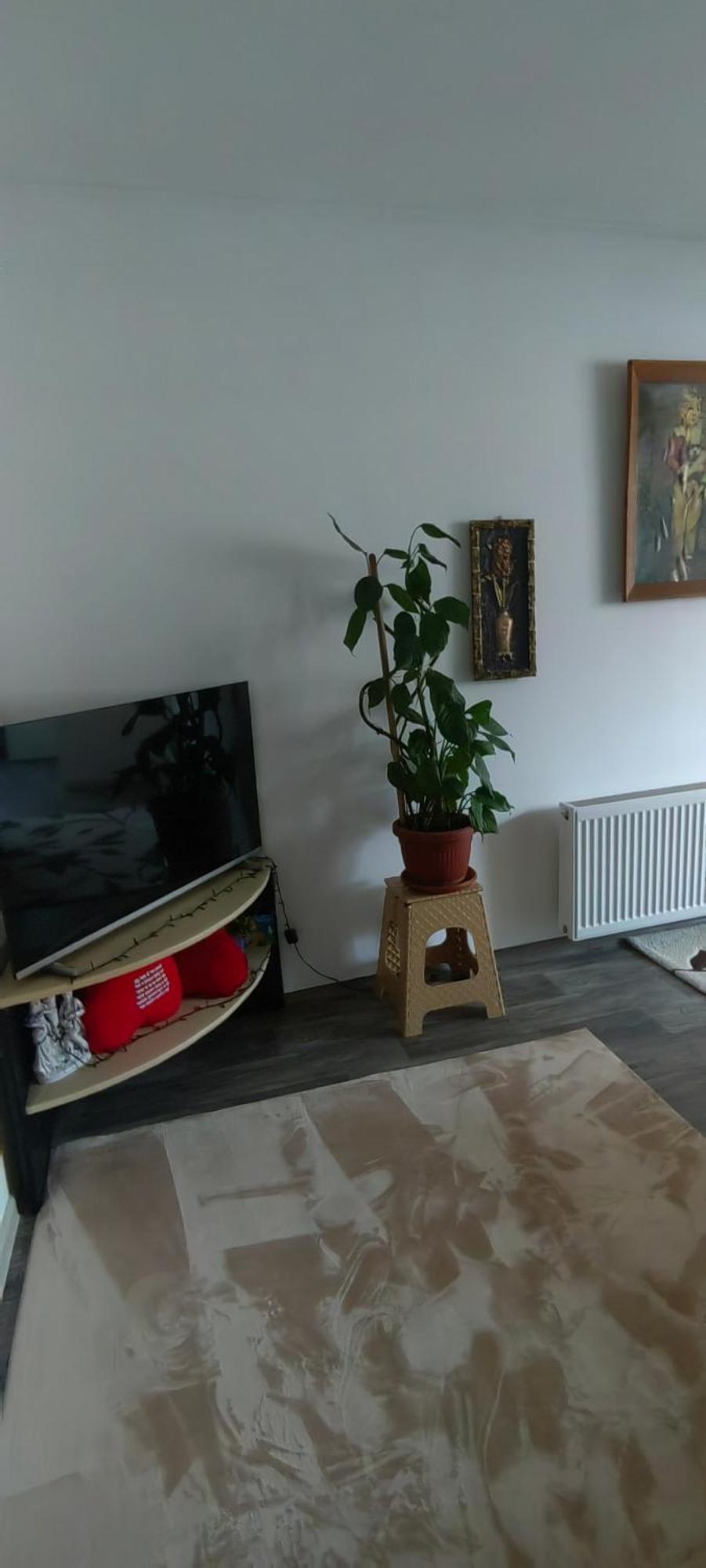 Divlji Raj Apartman Belgrád Kültér fotó