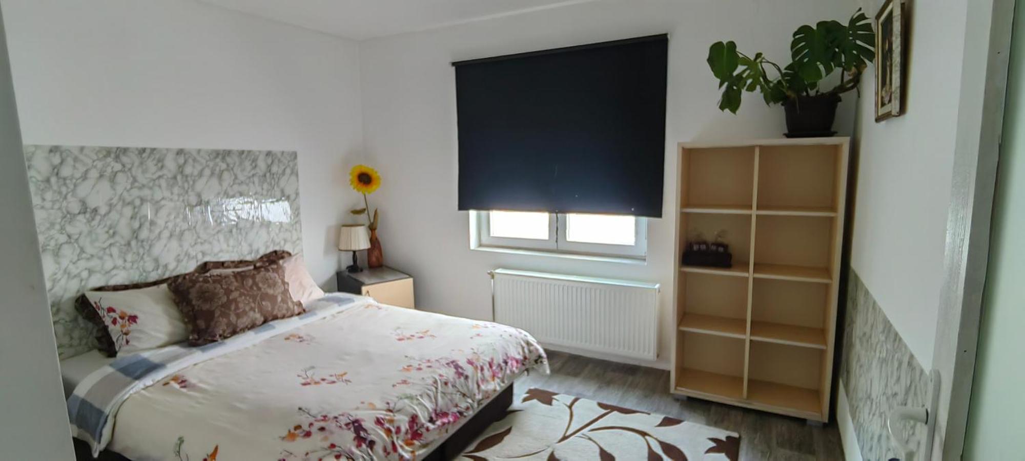 Divlji Raj Apartman Belgrád Kültér fotó